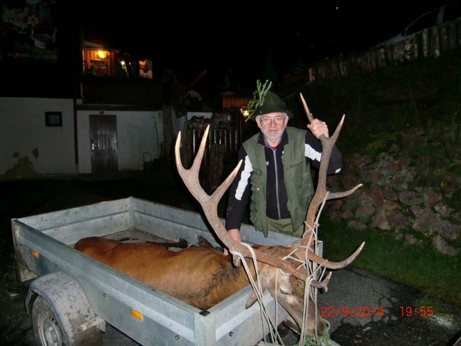 Rika jelena u Gorskom kotaru